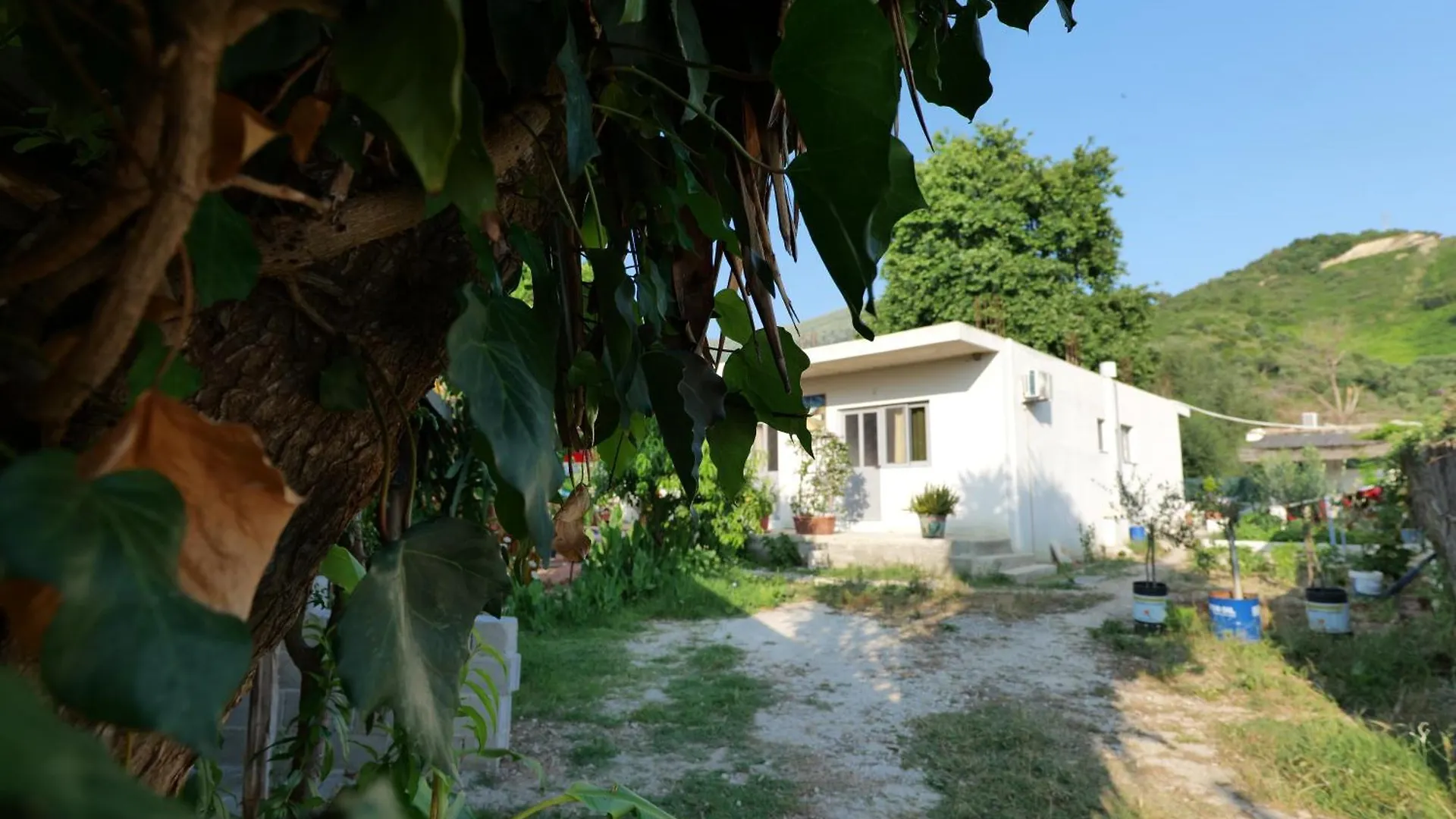 Tropikal - Freskia Bunec Sarandë Albánie
